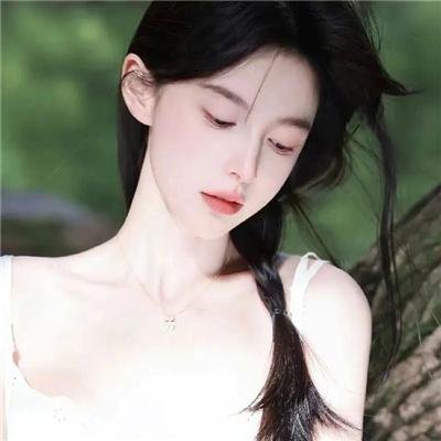 狗狗监护权