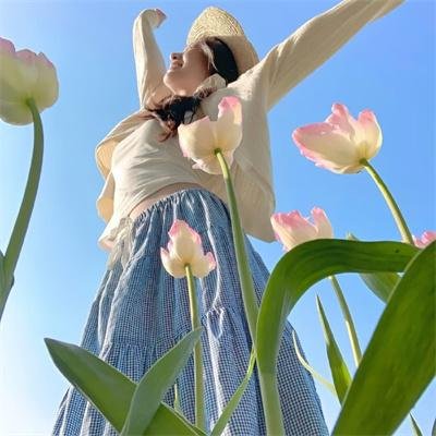 小海龟历险记2